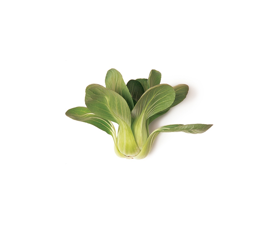 Chinese Lettuce Pakchoy Qty Seed alternatif görsel
